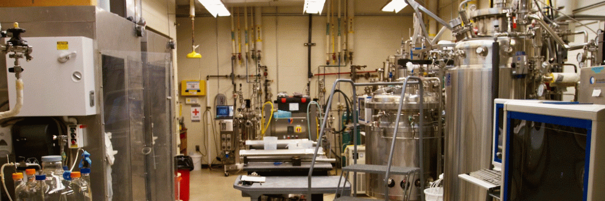 Bioexpression and Fermentation Facility